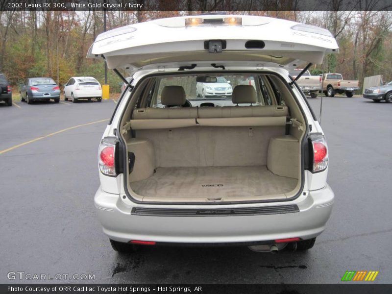 White Gold Crystal / Ivory 2002 Lexus RX 300