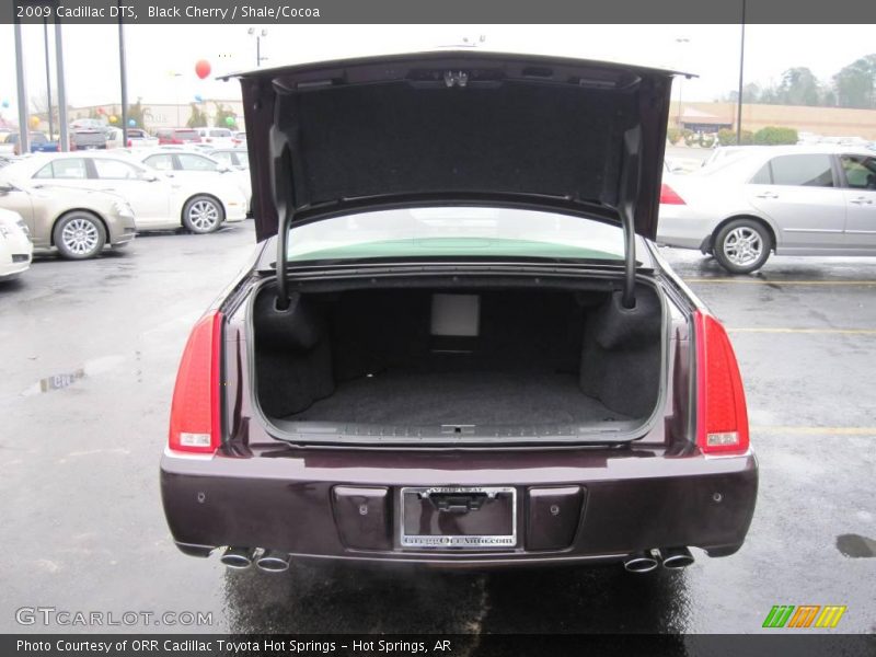 Black Cherry / Shale/Cocoa 2009 Cadillac DTS