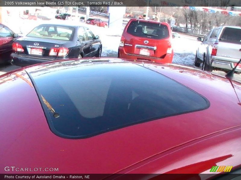 Tornado Red / Black 2005 Volkswagen New Beetle GLS TDI Coupe