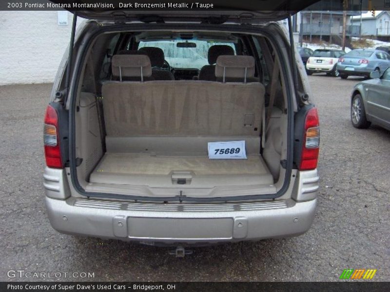 Dark Bronzemist Metallic / Taupe 2003 Pontiac Montana MontanaVision