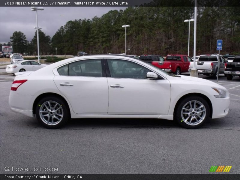 Winter Frost White / Caffe Latte 2010 Nissan Maxima 3.5 SV Premium