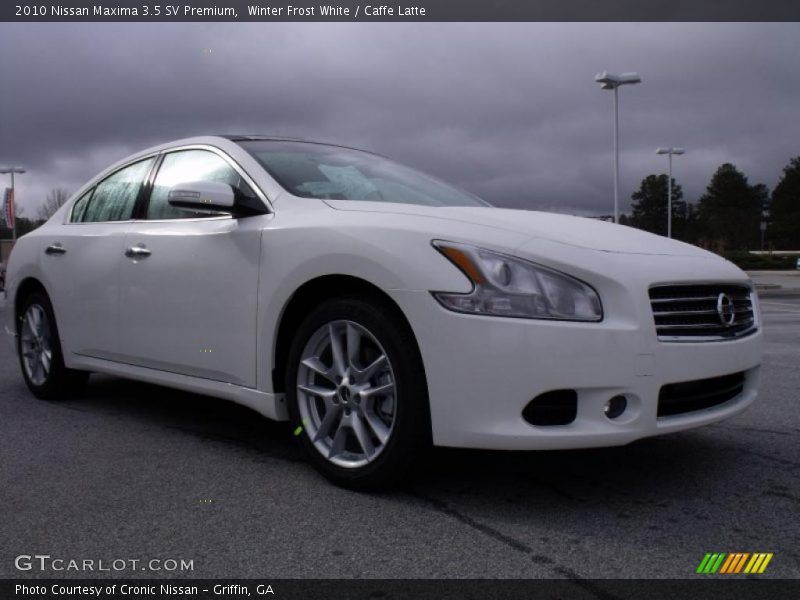 Winter Frost White / Caffe Latte 2010 Nissan Maxima 3.5 SV Premium