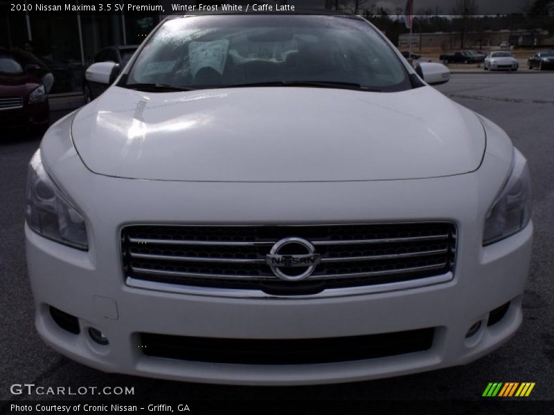 Winter Frost White / Caffe Latte 2010 Nissan Maxima 3.5 SV Premium