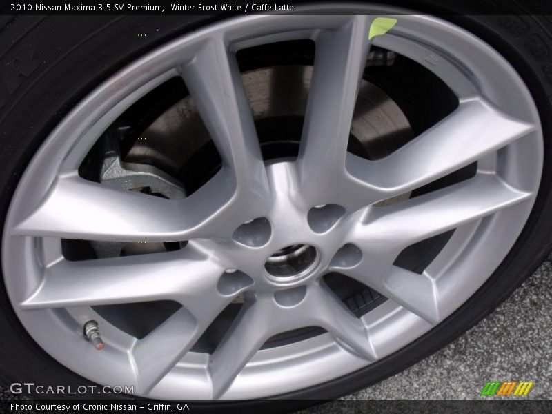 Winter Frost White / Caffe Latte 2010 Nissan Maxima 3.5 SV Premium