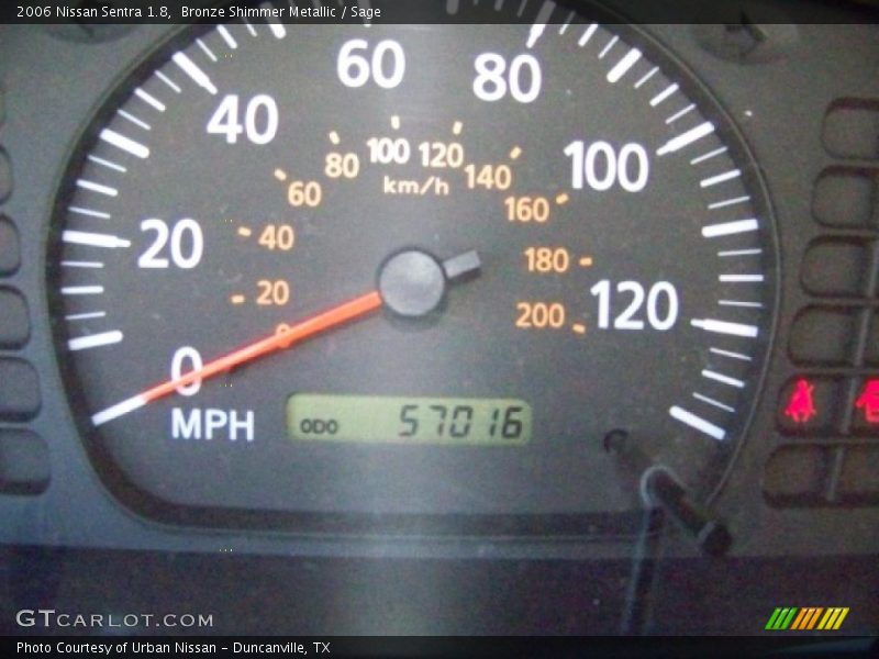 Bronze Shimmer Metallic / Sage 2006 Nissan Sentra 1.8