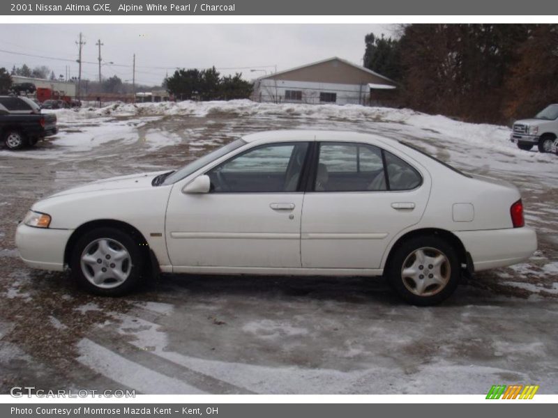 Alpine White Pearl / Charcoal 2001 Nissan Altima GXE