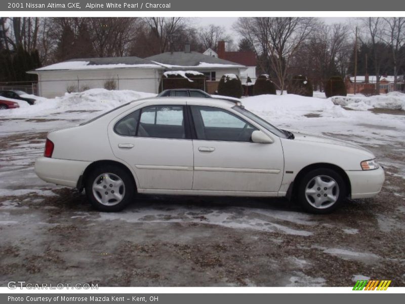 Alpine White Pearl / Charcoal 2001 Nissan Altima GXE
