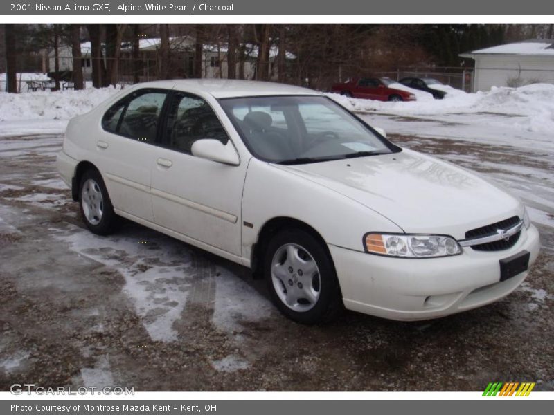 Alpine White Pearl / Charcoal 2001 Nissan Altima GXE