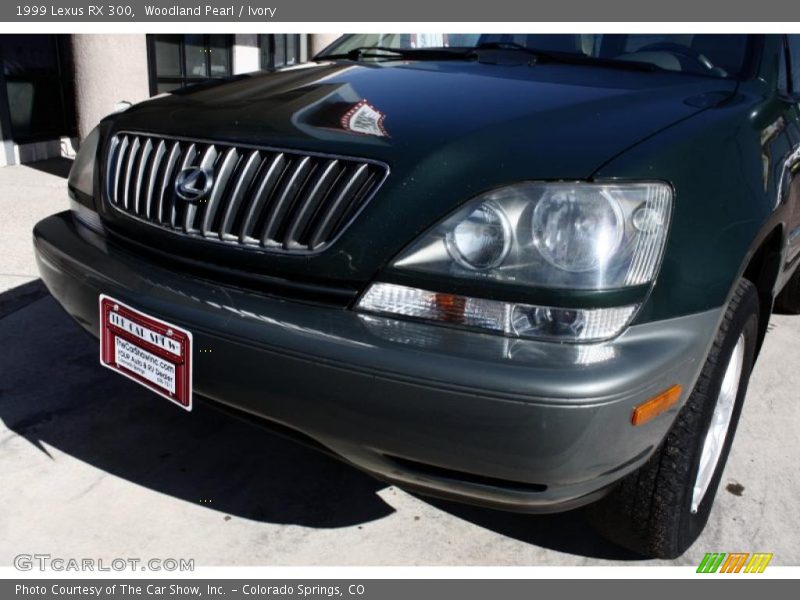 Woodland Pearl / Ivory 1999 Lexus RX 300