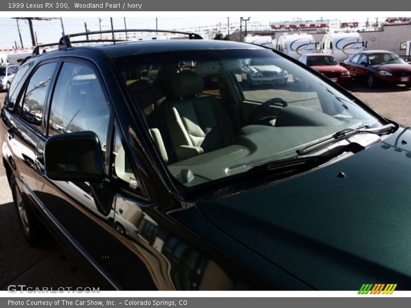 Woodland Pearl / Ivory 1999 Lexus RX 300