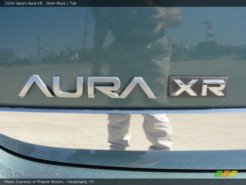 Silver Moss / Tan 2009 Saturn Aura XR