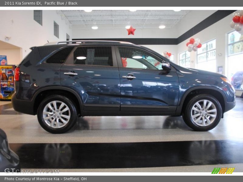Pacific Blue / Black 2011 Kia Sorento EX