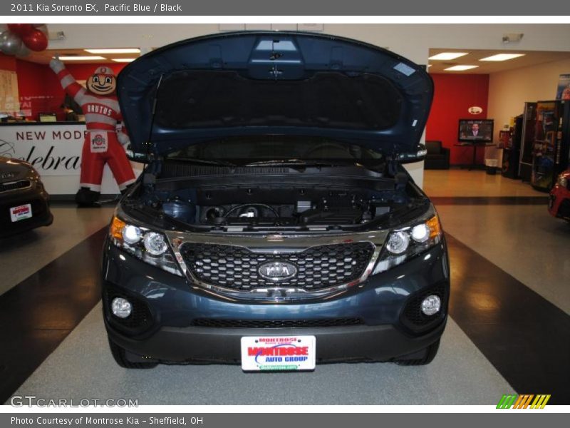 Pacific Blue / Black 2011 Kia Sorento EX