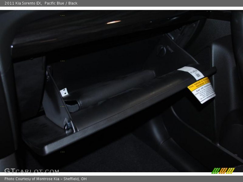 Pacific Blue / Black 2011 Kia Sorento EX