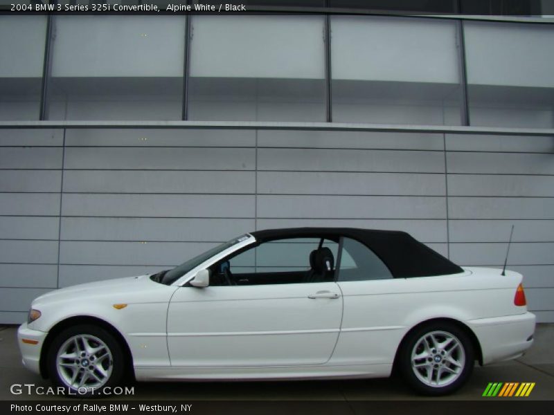 Alpine White / Black 2004 BMW 3 Series 325i Convertible