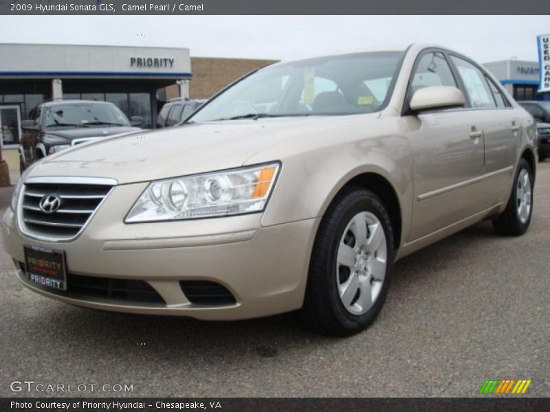 Camel Pearl / Camel 2009 Hyundai Sonata GLS