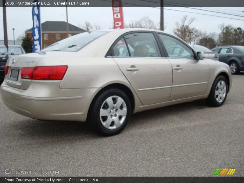 Camel Pearl / Camel 2009 Hyundai Sonata GLS