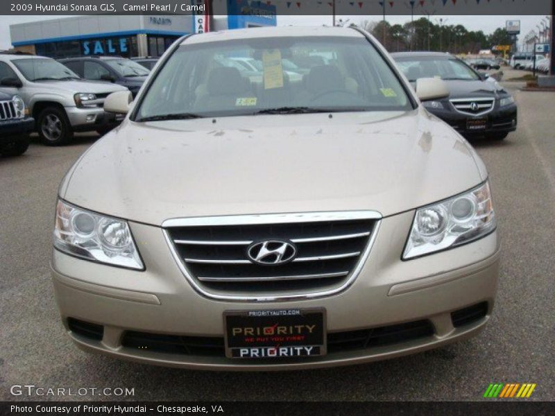 Camel Pearl / Camel 2009 Hyundai Sonata GLS