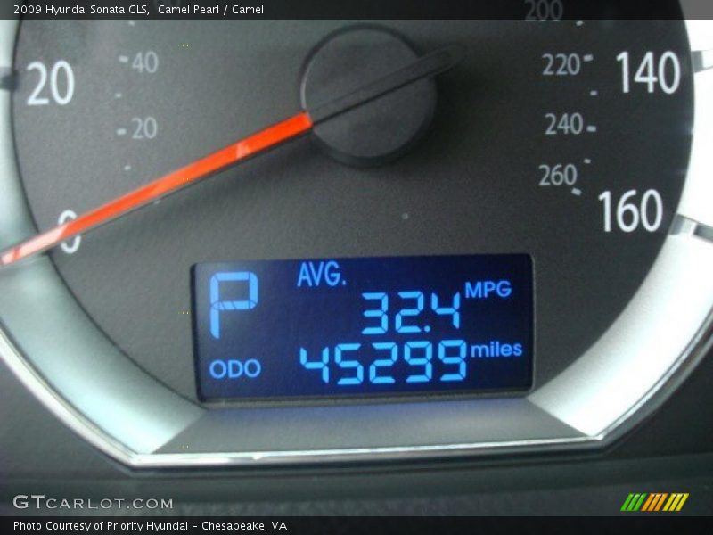 Camel Pearl / Camel 2009 Hyundai Sonata GLS