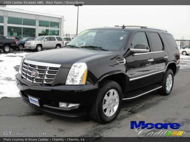 Black Raven / Ebony/Ebony 2009 Cadillac Escalade AWD