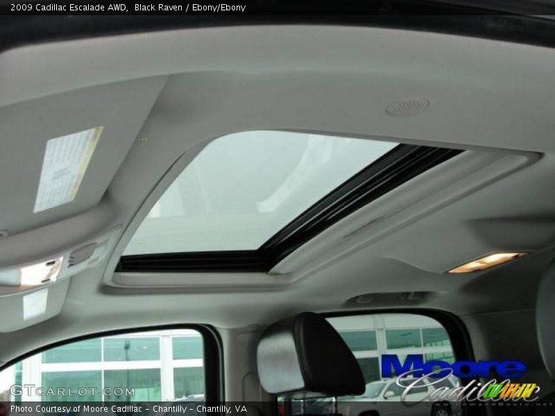 Black Raven / Ebony/Ebony 2009 Cadillac Escalade AWD