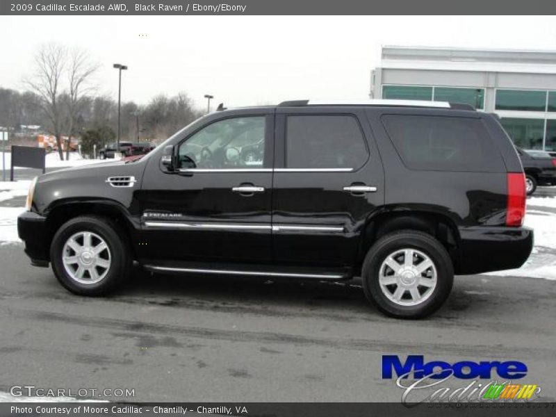 Black Raven / Ebony/Ebony 2009 Cadillac Escalade AWD