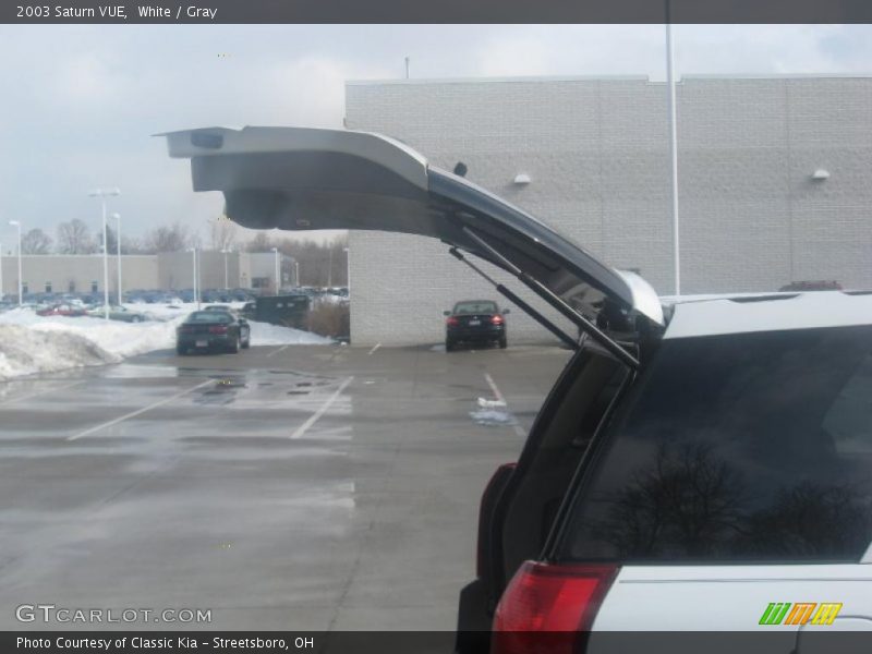 White / Gray 2003 Saturn VUE