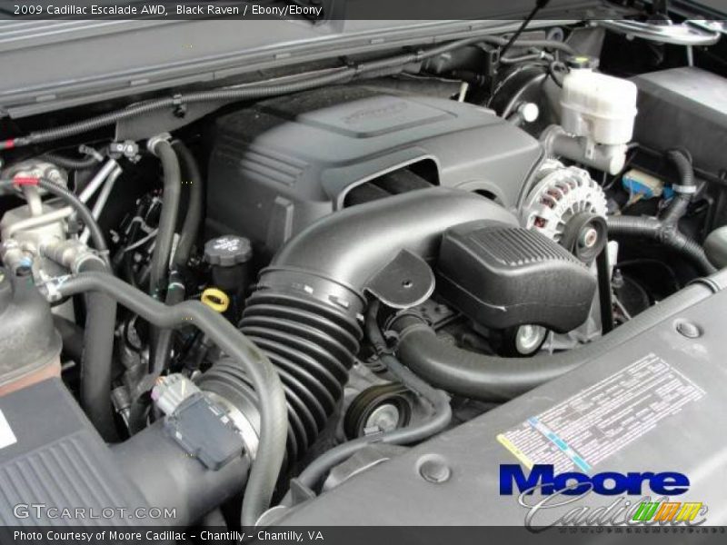 Black Raven / Ebony/Ebony 2009 Cadillac Escalade AWD