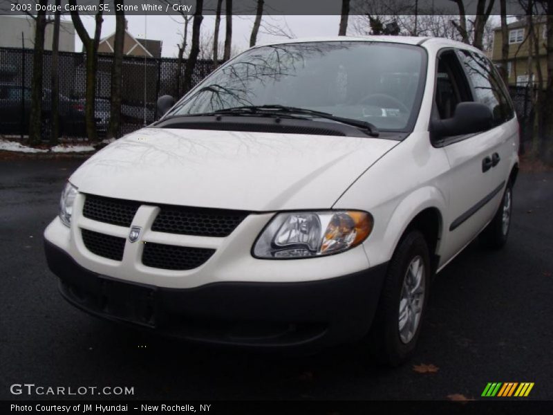 Stone White / Gray 2003 Dodge Caravan SE