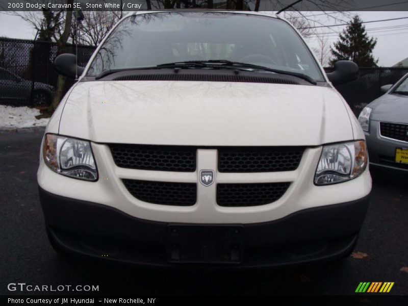 Stone White / Gray 2003 Dodge Caravan SE