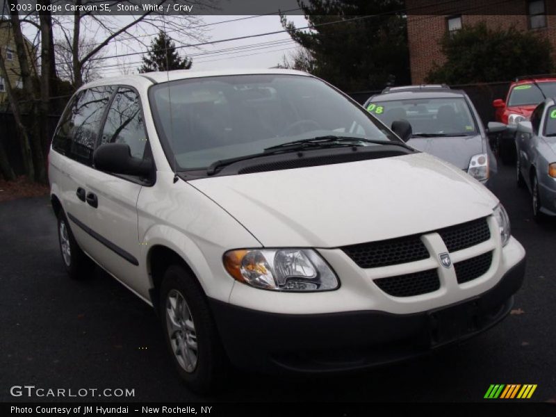 Stone White / Gray 2003 Dodge Caravan SE
