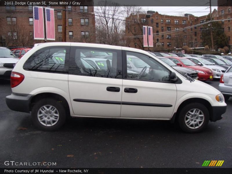 Stone White / Gray 2003 Dodge Caravan SE