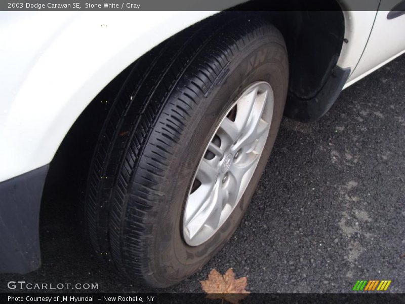 Stone White / Gray 2003 Dodge Caravan SE