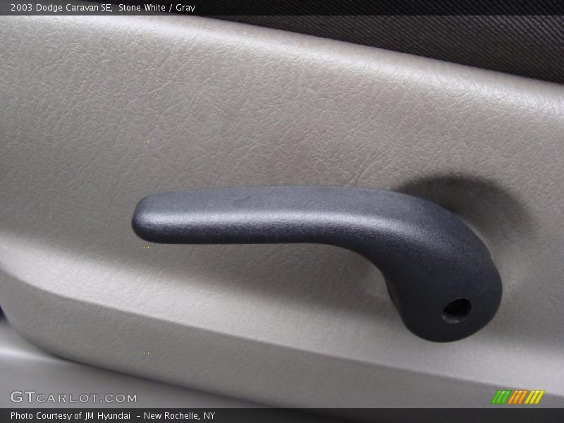 Stone White / Gray 2003 Dodge Caravan SE