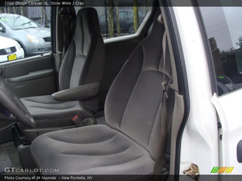 Stone White / Gray 2003 Dodge Caravan SE