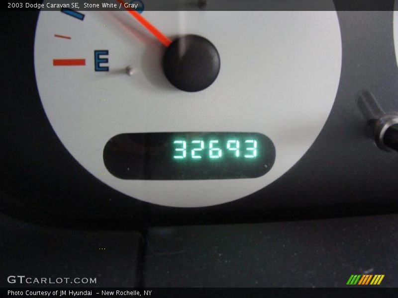 Stone White / Gray 2003 Dodge Caravan SE