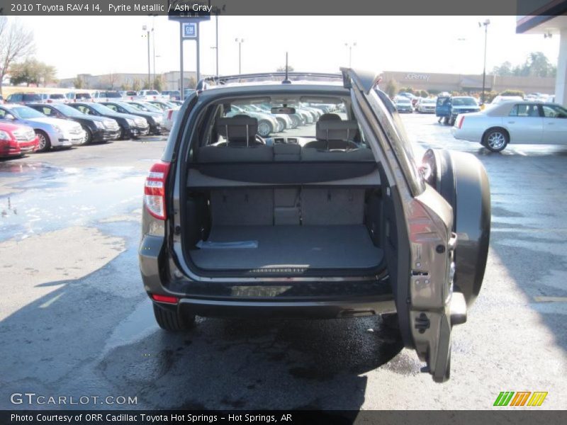 Pyrite Metallic / Ash Gray 2010 Toyota RAV4 I4