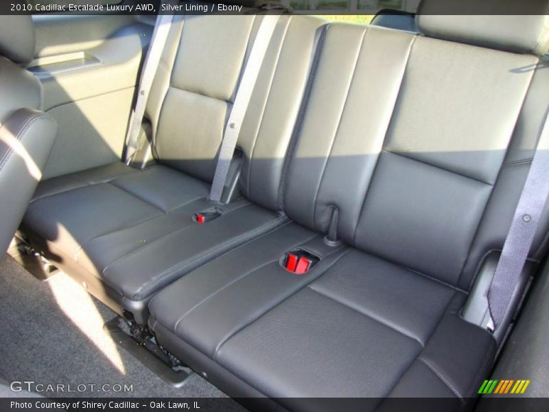 Silver Lining / Ebony 2010 Cadillac Escalade Luxury AWD