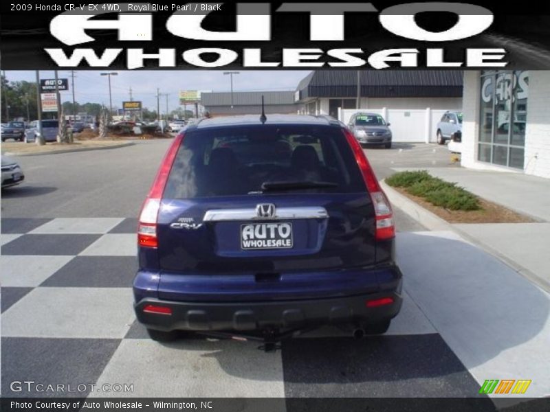 Royal Blue Pearl / Black 2009 Honda CR-V EX 4WD