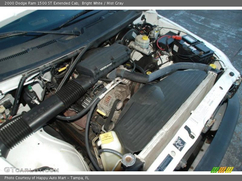 Bright White / Mist Gray 2000 Dodge Ram 1500 ST Extended Cab