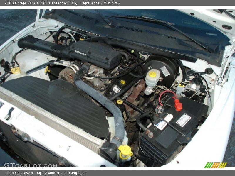 Bright White / Mist Gray 2000 Dodge Ram 1500 ST Extended Cab