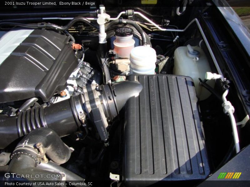 Ebony Black / Beige 2001 Isuzu Trooper Limited