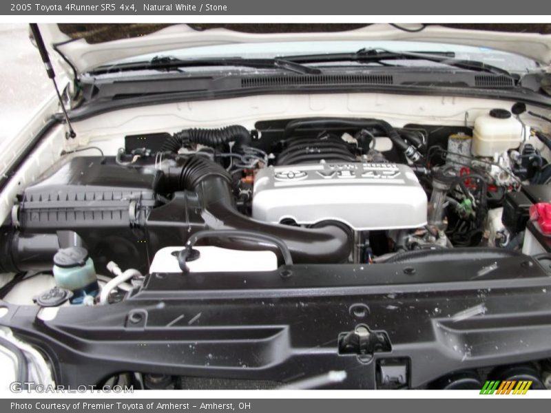 Natural White / Stone 2005 Toyota 4Runner SR5 4x4