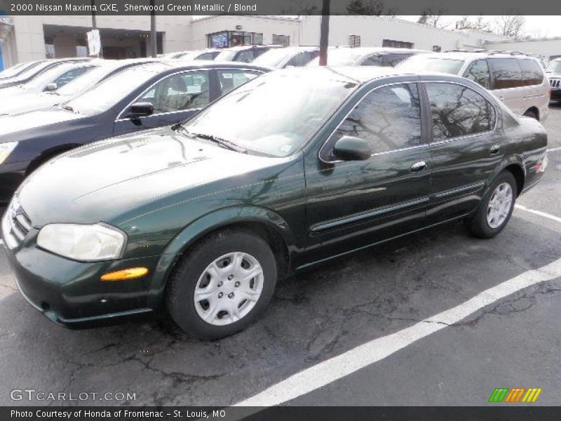 Sherwood Green Metallic / Blond 2000 Nissan Maxima GXE