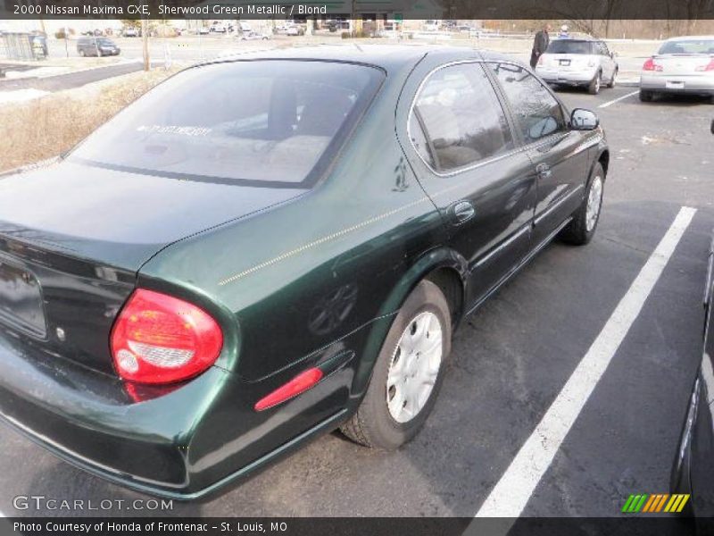 Sherwood Green Metallic / Blond 2000 Nissan Maxima GXE