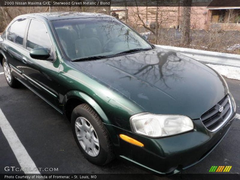 Sherwood Green Metallic / Blond 2000 Nissan Maxima GXE