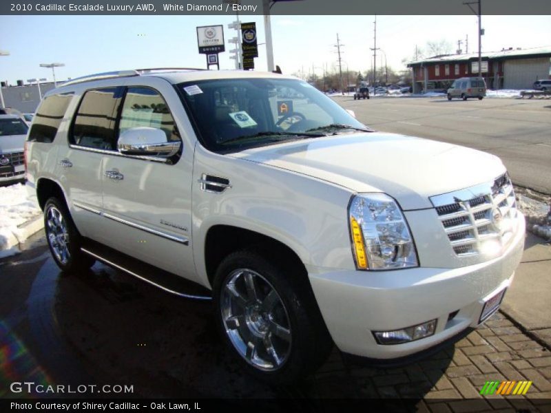 White Diamond / Ebony 2010 Cadillac Escalade Luxury AWD