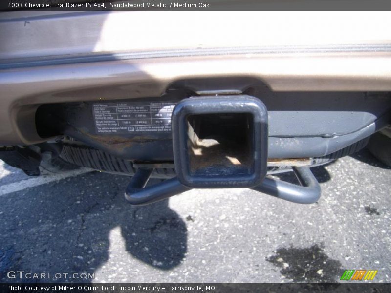Sandalwood Metallic / Medium Oak 2003 Chevrolet TrailBlazer LS 4x4