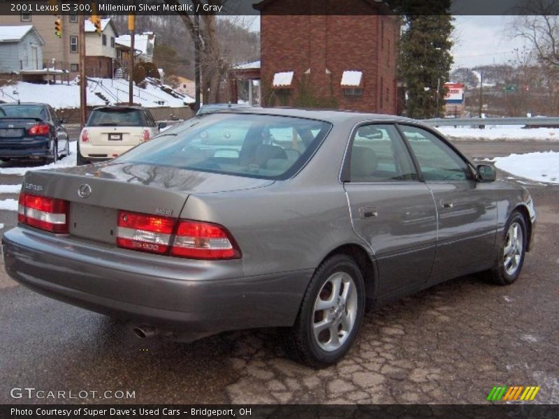 Millenium Silver Metallic / Gray 2001 Lexus ES 300