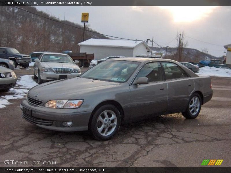 Millenium Silver Metallic / Gray 2001 Lexus ES 300
